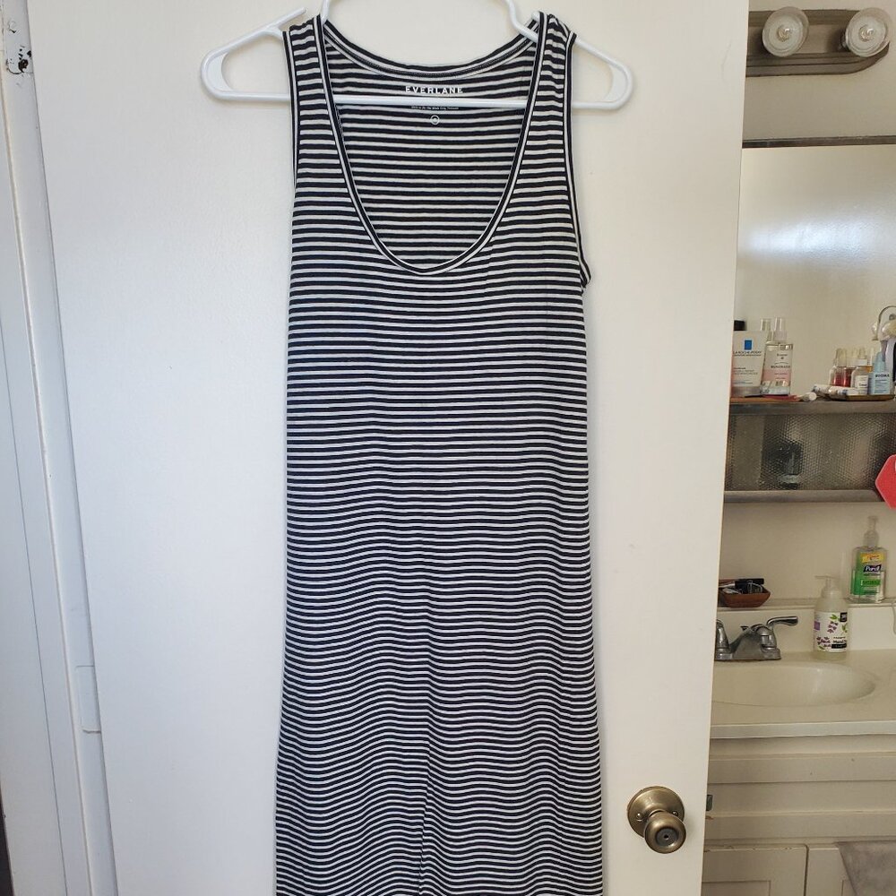 Everlane Striped Cotton Tank Dress